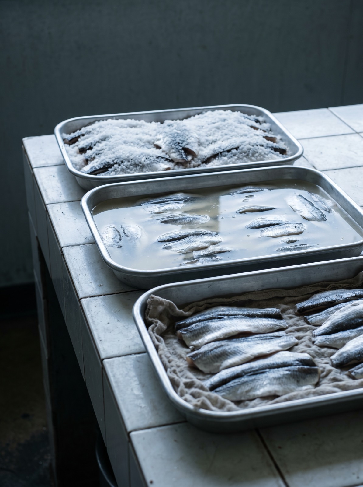 Fillets curing under salt on trays in a preparation room.